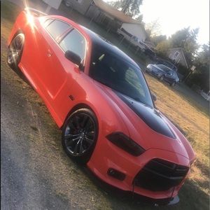 Meet your Posher, Terry